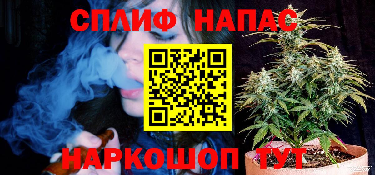 Узловая  Каннабис MAZAR  Вход с VPN  Бошки марихуана планчик  Конопля Bruce Banner 